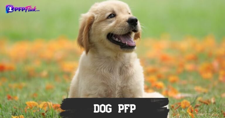 Dog Pfp